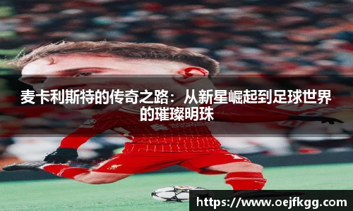 必一运动b-sports官网